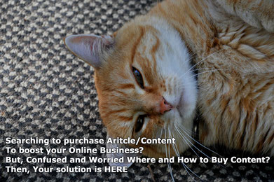 Confused and worried where and how to buy content/article? Then Answer is here, buy articles cheap, freelance web content writer, purchase website content