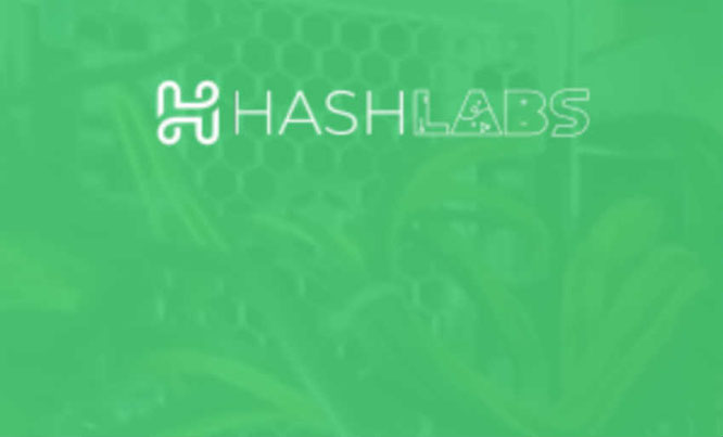 HashLabs complaints. Is a HashLabs fake or real? Is a HashLabs legit or hoax?
