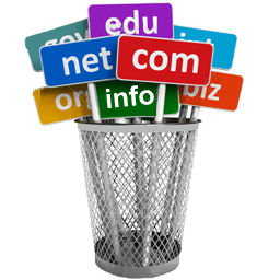 Why should you purchase your own Domain?